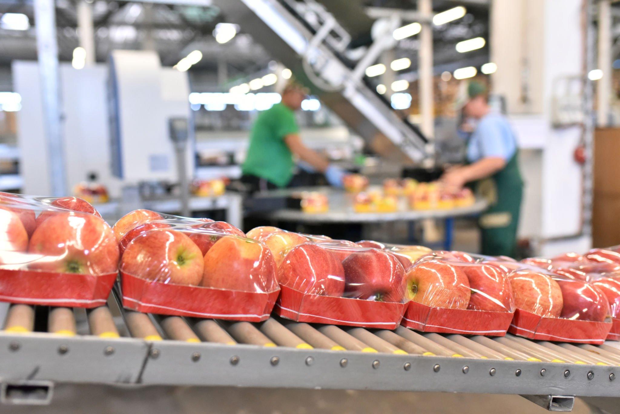 Promat | Promat: Ambalaj, Paketleme ve Matbaacılıkta Lider Promat | Promat: Ambalaj, Paketleme ve Matbaacılıkta Lider